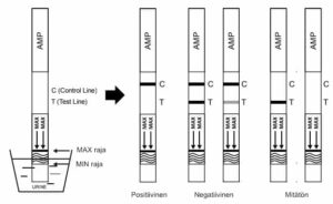 AMP testiliuskan lukeminen 1