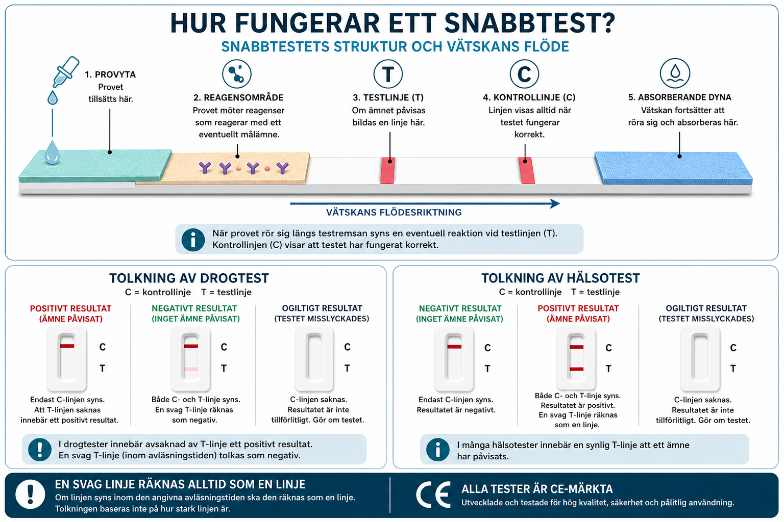 Hur fungerar ett snabbtest? Struktur och tolkning
